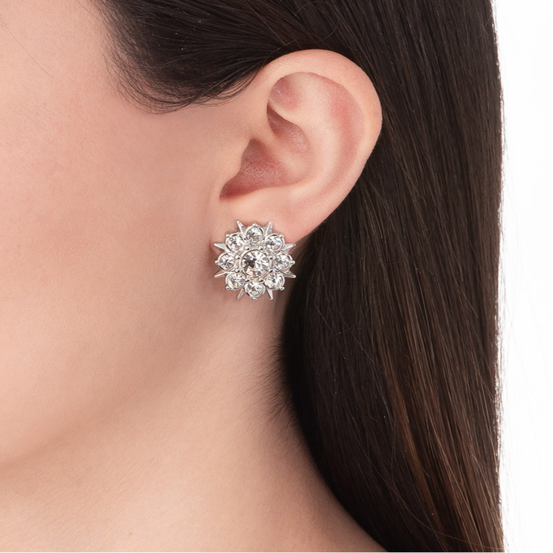 Earrings 124034