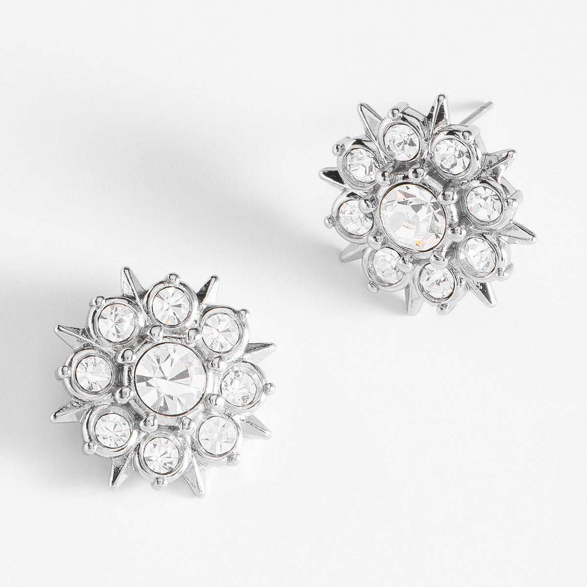 Earrings 124034