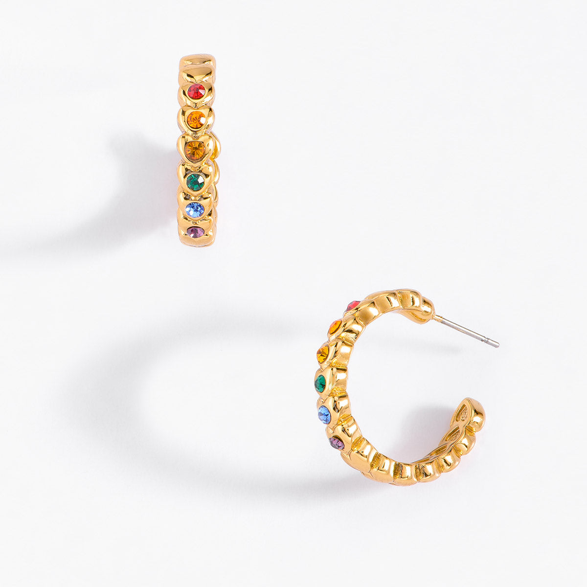 Earrings 323341